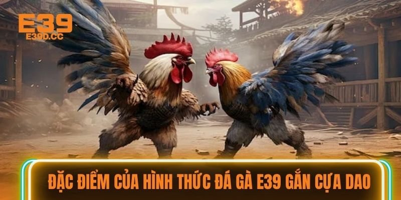 Đặc điểm của hình thức đá gà E39 gắn cựa dao